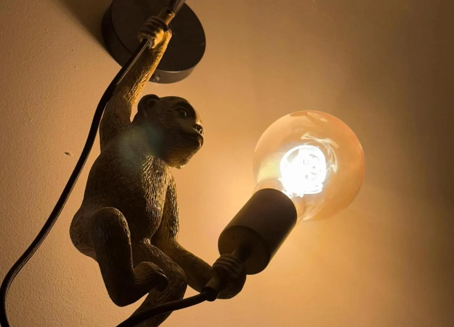 Le Jungle Apartman Lourdes Franciaország
